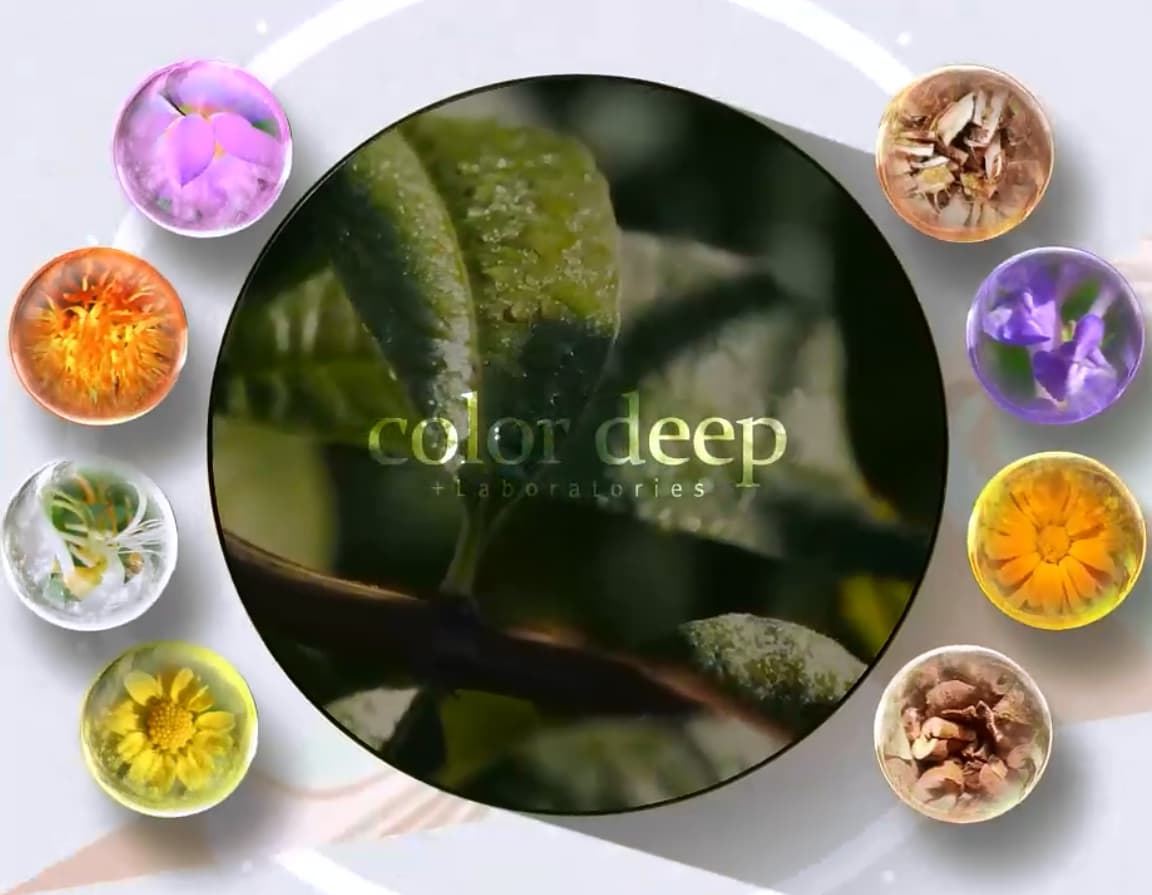 COLOR DEEP Кушон увлажняющий с коллагеном Хонолулу 23 тон бежевый
