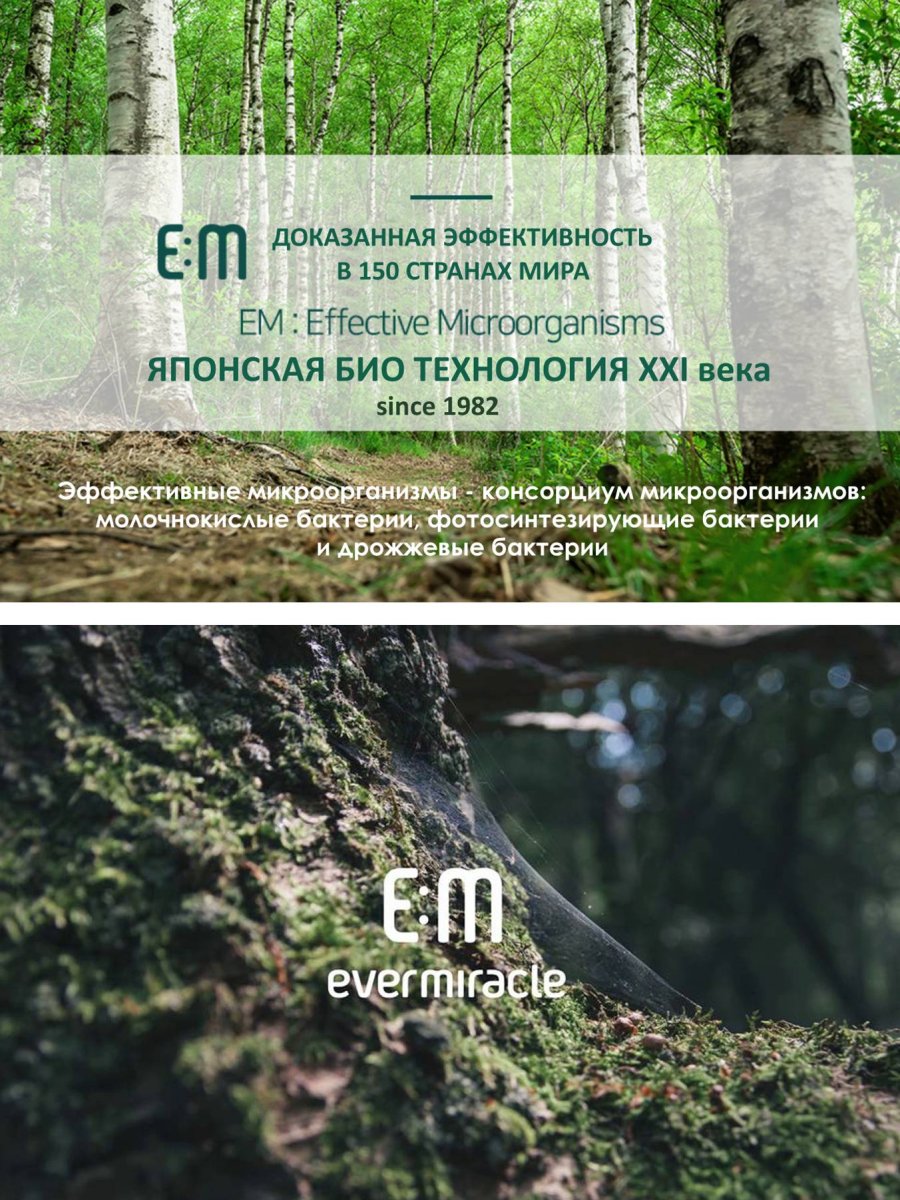 SALLIMI EM DEODORANT PINE Дезодорант-нейтрализатор запахов с ароматом сосны для салона авто